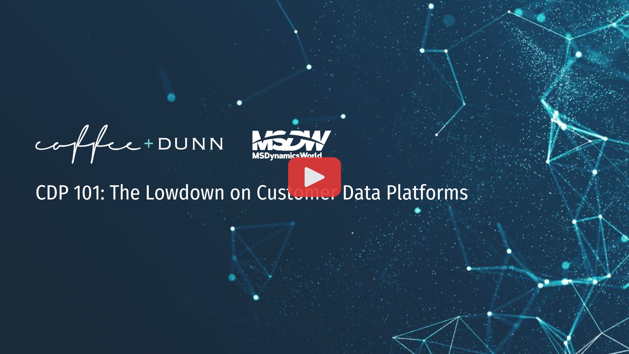 CDP 101 The Lowdown on Customer Data Platforms